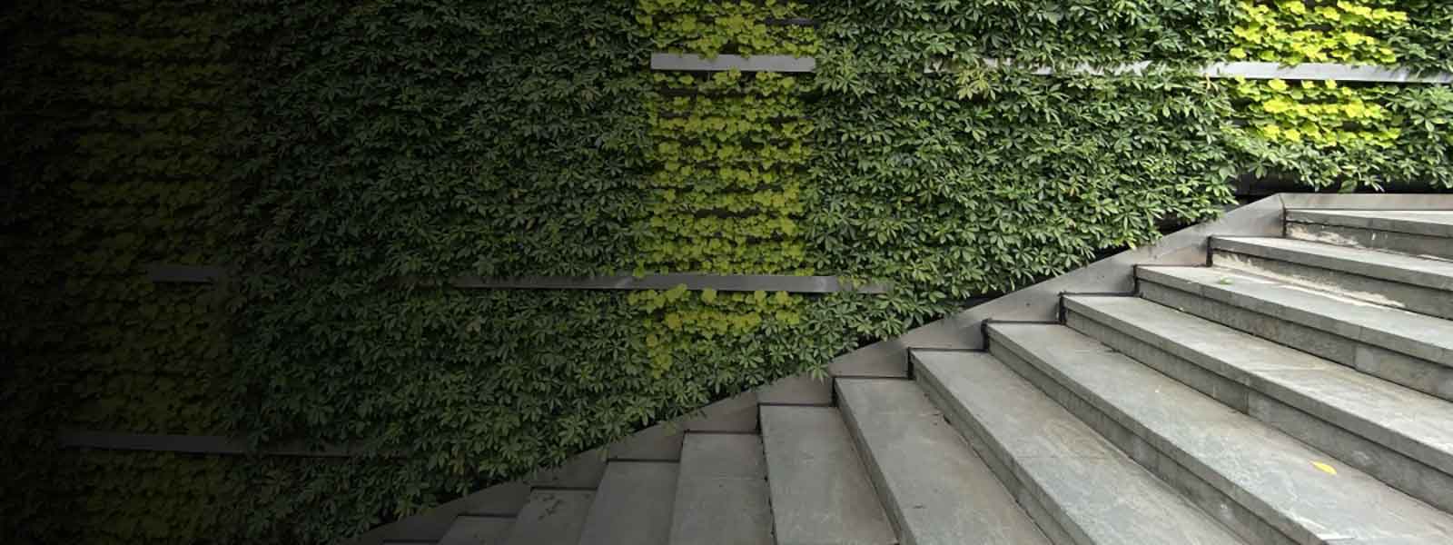 staircases in office space with greenary to control carbon emission